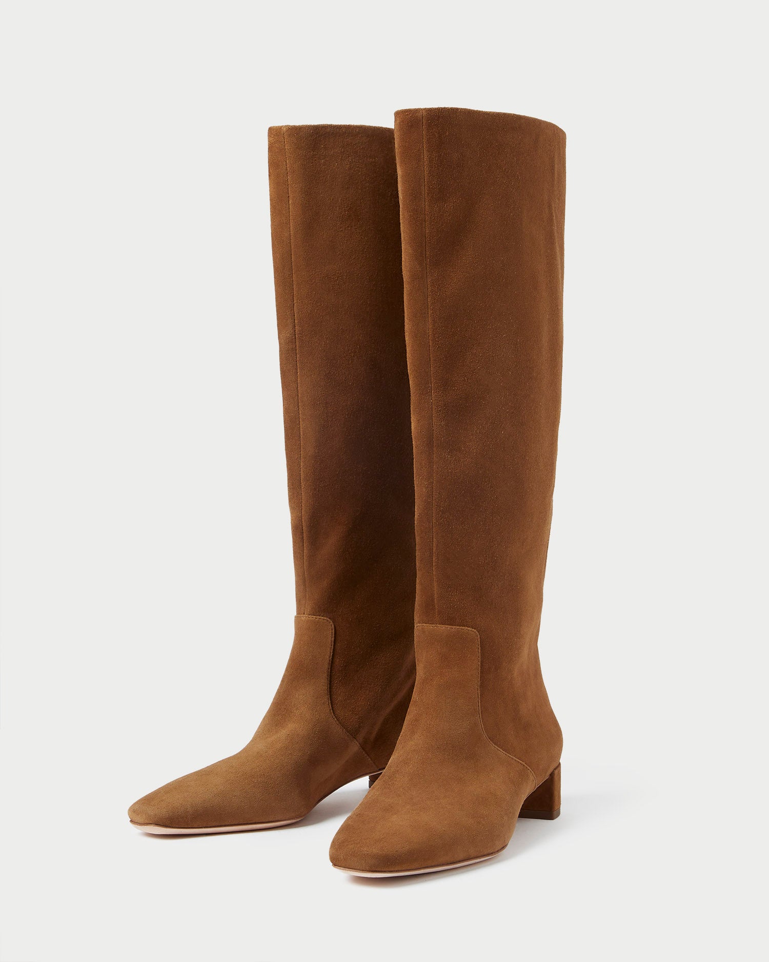 Loeffler Randall / Indy Cacao Suede Tall Boot