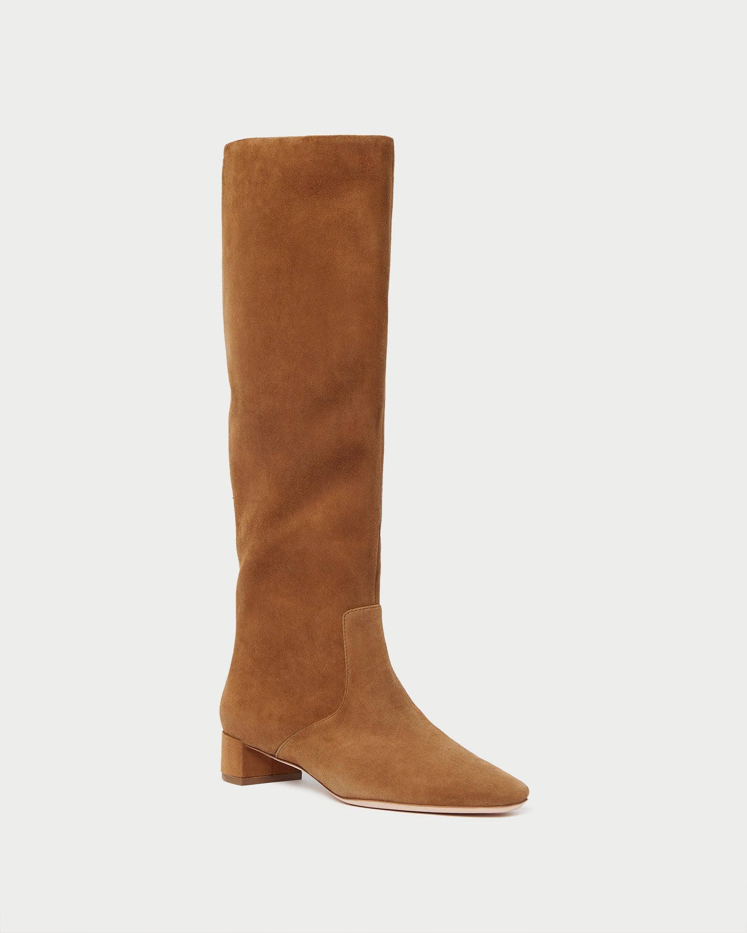 Loeffler Randall / Indy Cacao Suede Tall Boot