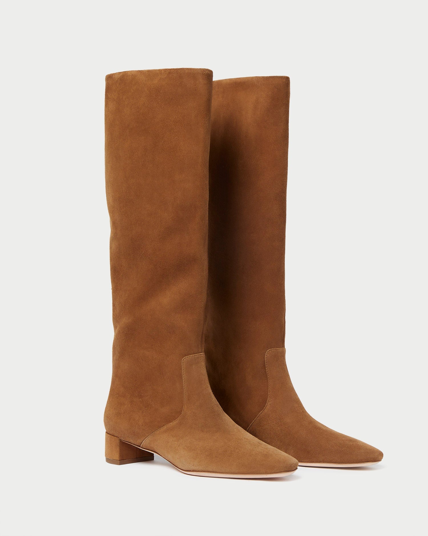 Loeffler Randall / Indy Cacao Suede Tall Boot