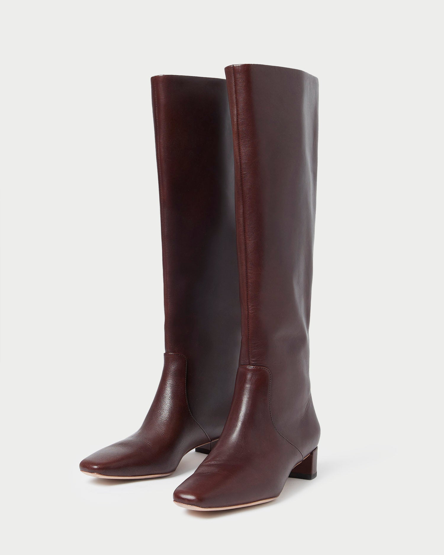 Loeffler Randall / Indy Espresso Leather Tall Boot